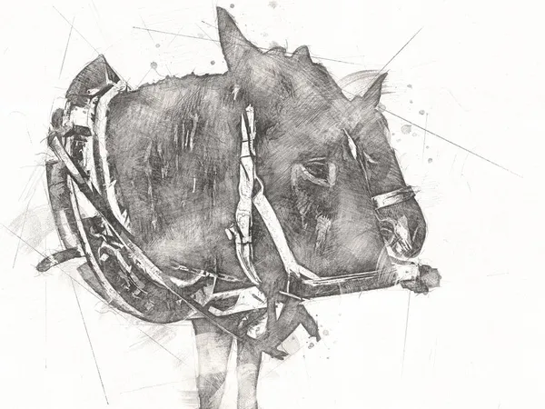 Kolorowy Koń Sztuka Ilustracja Grunge Malarstwo — Zdjęcie stockowe