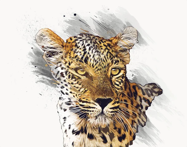 Leopardo Namibia Illustrazione Arte Vintage Retrò Disegno Antico Disegno Disegno — Foto Stock