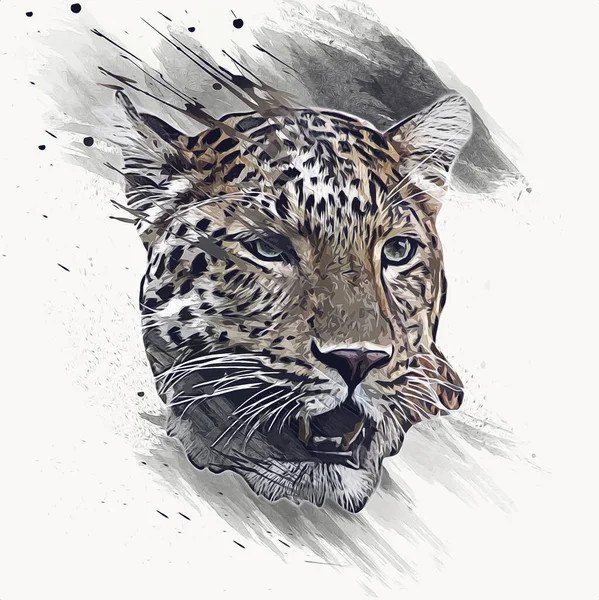 Leopardo Namibia Ilustración Arte Vintage Retro Dibujo Antiguo Dibujo Dibujo —  Fotos de Stock