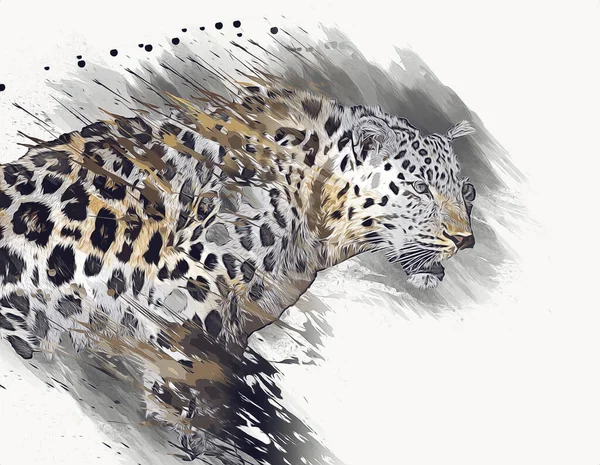 Leopardo Namibia Illustrazione Arte Vintage Retrò Disegno Antico Disegno Disegno — Foto Stock