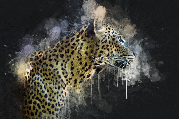 Leopardo Namibia Illustrazione Arte Vintage Retrò Disegno Antico Disegno Disegno — Foto Stock