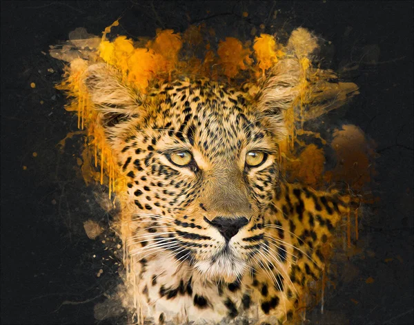 Der Leopard Namibia Illustration Kunst Vintage Retro Antike Zeichnung Malerei — Stockfoto