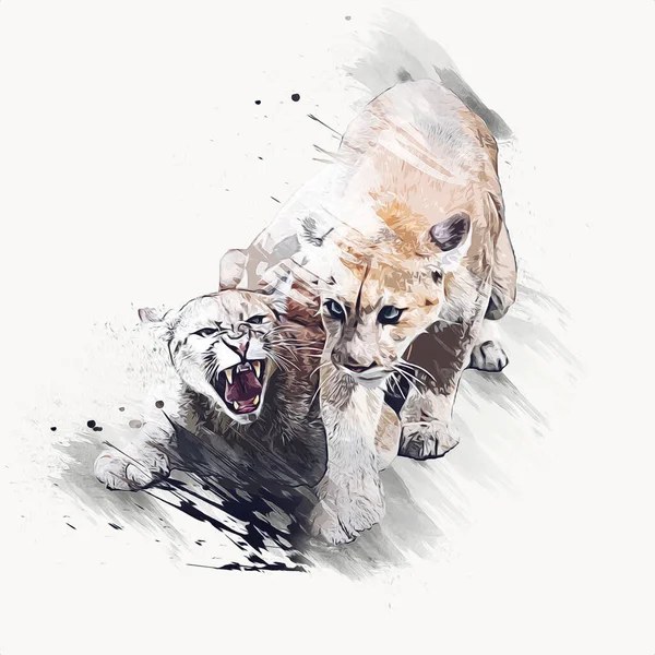Puma Cougar Porträt Isoliert Auf Hintergrund Illustration Kunst Jahrgang Retro — Stockfoto