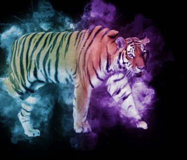 Kaplan sanatı illüstrasyon rengi vintage grunge retro