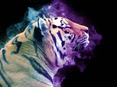 Kaplan sanatı illüstrasyon rengi vintage grunge retro