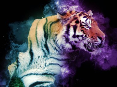 Kaplan sanatı illüstrasyon rengi vintage grunge retro