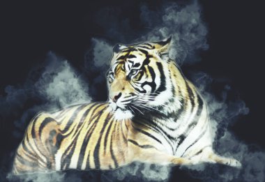 Kaplan sanatı illüstrasyon rengi vintage grunge retro