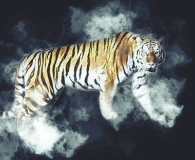 Kaplan sanatı illüstrasyon rengi vintage grunge retro