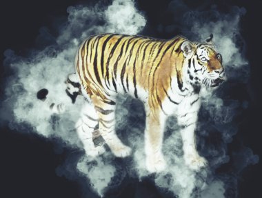 Kaplan sanatı illüstrasyon rengi vintage grunge retro