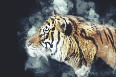 Kaplan sanatı illüstrasyon rengi vintage grunge retro