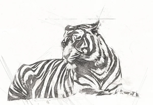 Tigre Art Illustration Couleur Vintage Grunge Rétro — Photo