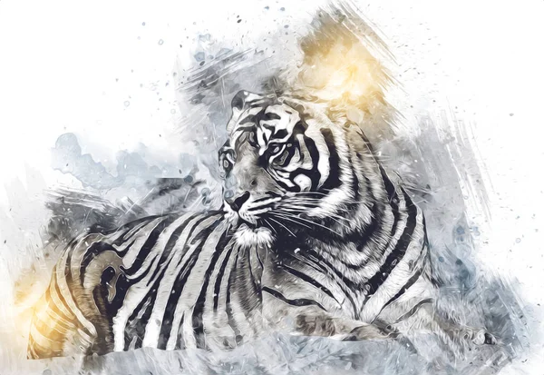 tiger art illustration color vintage grunge retro