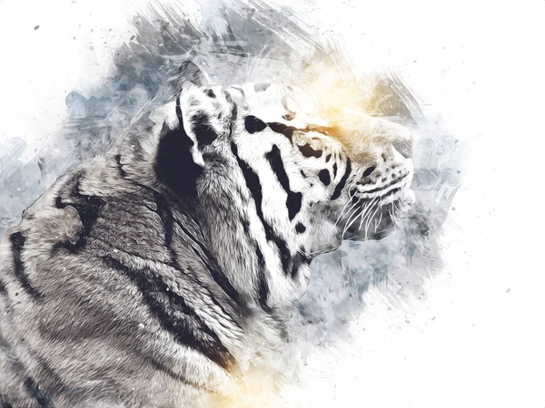 Tigris Művészet Illusztráció Szín Szüret Grunge Retro — Stock Fotó