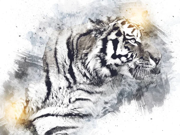 tiger art illustration color vintage grunge retro