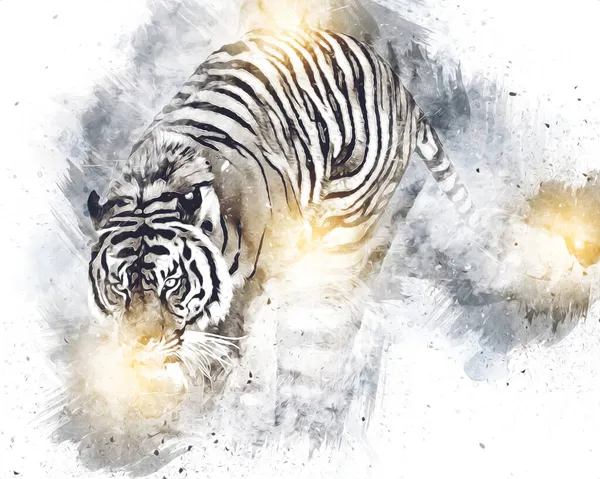 Tiger Art Illustration Farbe Vintage Grunge Retro — Stockfoto