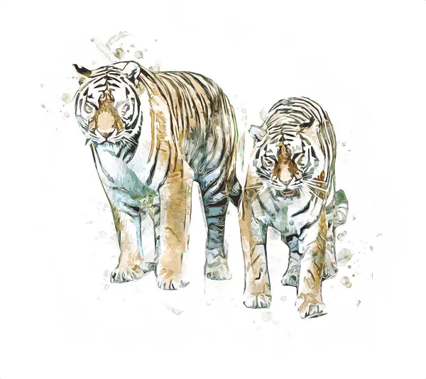 Tygrys Sztuka Ilustracja Kolor Vintage Grunge Retro — Zdjęcie stockowe