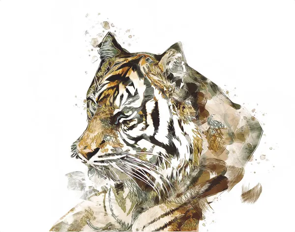 Tiger Arte Ilustración Color Vintage Grunge Retro —  Fotos de Stock