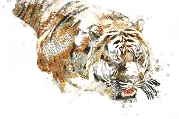 Tiger Arte Ilustración Color Vintage Grunge Retro — Foto de Stock