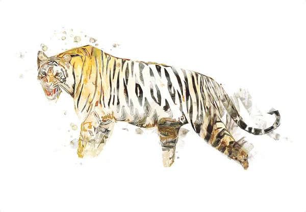 Tigre Arte Illustrazione Colore Vintage Grunge Retro — Foto Stock