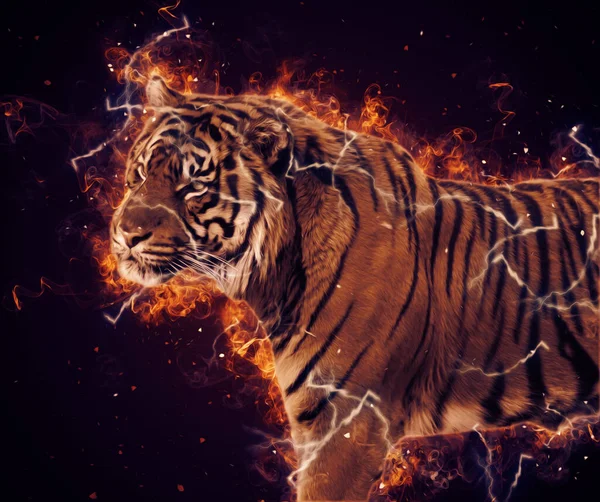 Kaplan sanatı illüstrasyon rengi vintage grunge retro