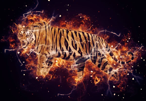 Tiger Art Illustration Farbe Vintage Grunge Retro — Stockfoto