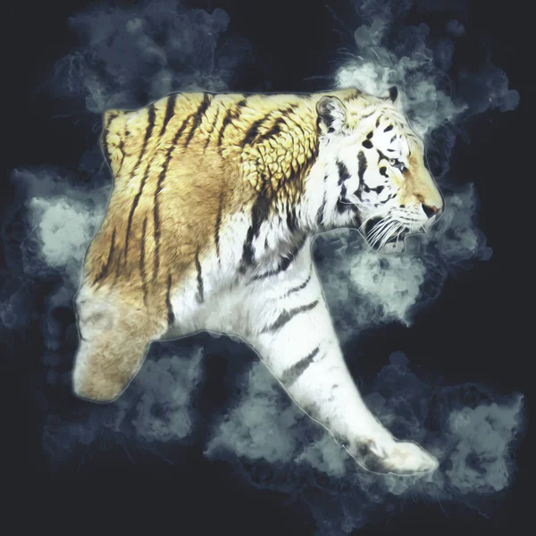 Τίγρης Τέχνη Εικονογράφηση Χρώμα Vintage Grunge Ρετρό — Φωτογραφία Αρχείου