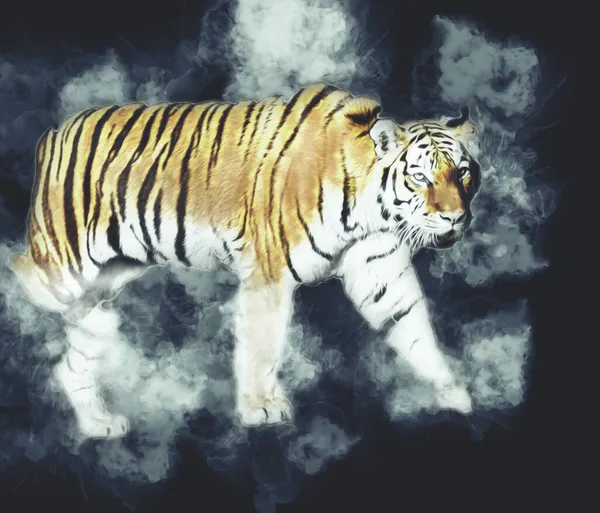 Kaplan sanatı illüstrasyon rengi vintage grunge retro