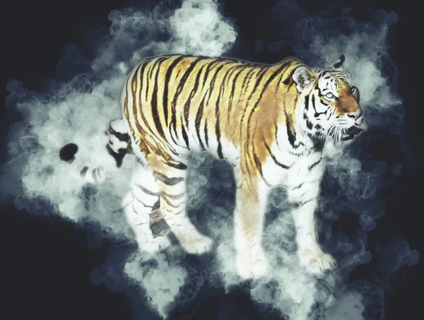 Kaplan sanatı illüstrasyon rengi vintage grunge retro