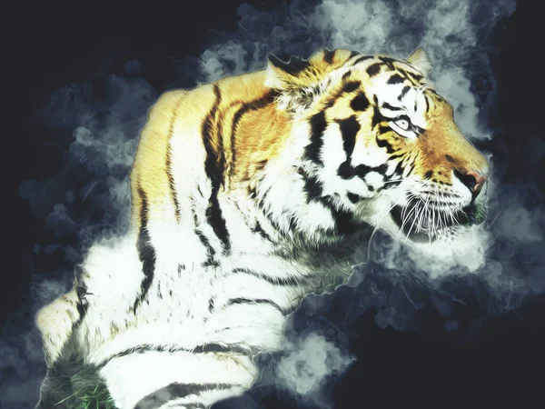 Tigre Arte Illustrazione Colore Vintage Grunge Retro — Foto Stock