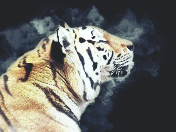 Tiger Konst Illustration Färg Vintage Grunge Retro — Stockfoto