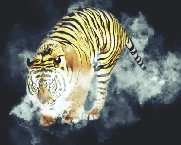 Tiger Art Illustration Farbe Vintage Grunge Retro — Stockfoto