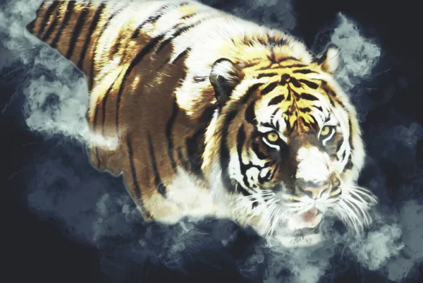 Tiger Art Illustration Farbe Vintage Grunge Retro — Stockfoto