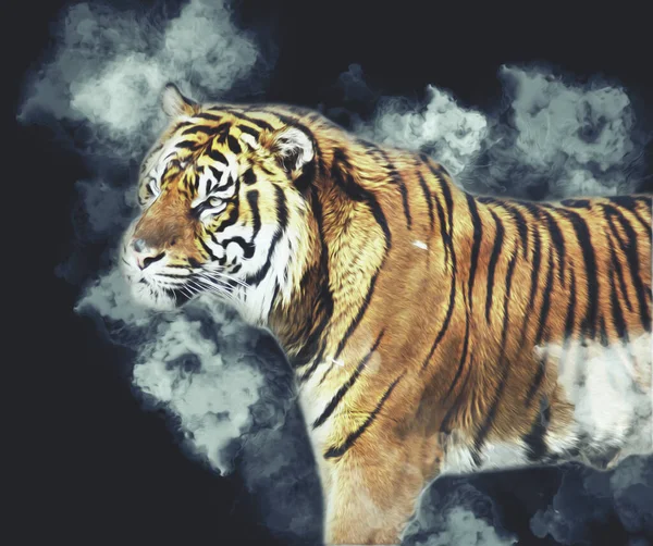 Tiger Art Illustration Farbe Vintage Grunge Retro — Stockfoto