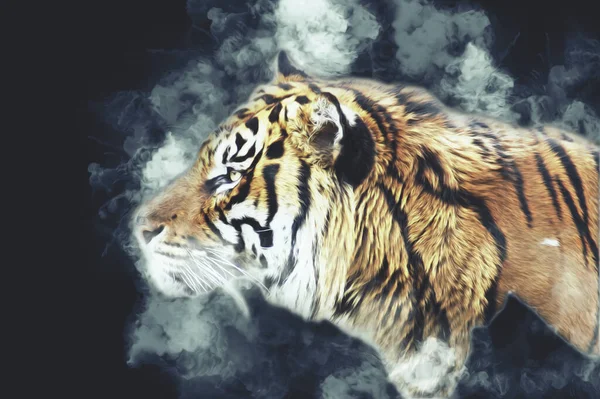 Kaplan sanatı illüstrasyon rengi vintage grunge retro