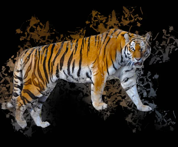 Tiger Art Illustration Farbe Vintage Grunge Retro — Stockfoto