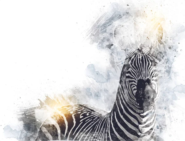 Kresba Zebry Náčrt Afrického Savce — Stock fotografie