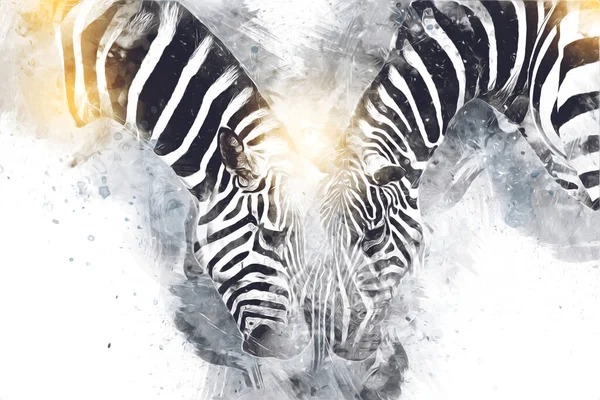 Ritning Zebra Skiss Afrikanska Däggdjur Illustration — Stockfoto