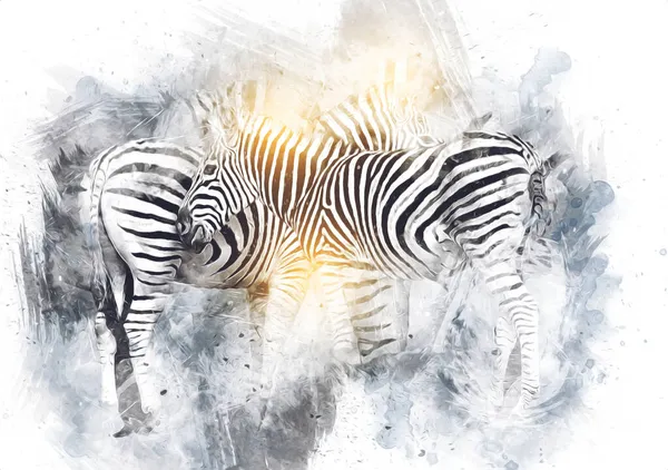 ゼブラの絵 アフリカの哺乳類のイラスト — ストック写真