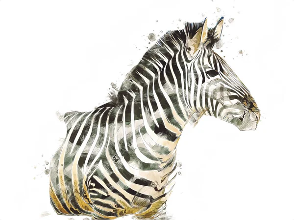 Drawing Zebra Sketch African Mammal Illustration — Stock Photo, Image