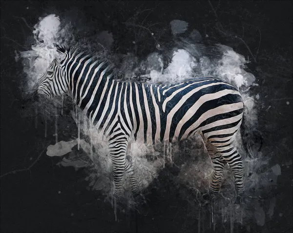 Dessin Zebra Croquis Illustration Mammifères Africains — Photo