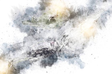 Polonya 'da küçük bir çiftliğe bakış açısı, minyatür bir görünüm ve hisle.