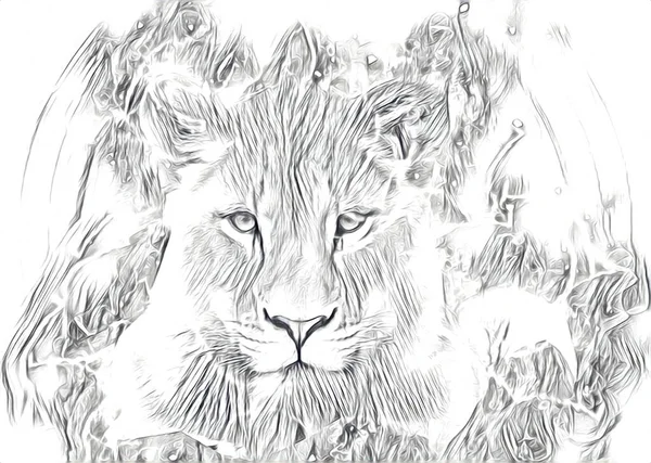 Lion Art Illustration Drawing Painting Retro Vintage Animal — Fotografia de Stock