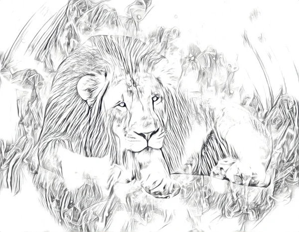 ライオンアートイラスト絵画レトロヴィンテージ動物 — ストック写真