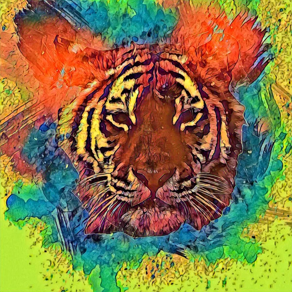 Tiger Arte Ilustración Dibujo Pintura Retro Vintage Animal —  Fotos de Stock