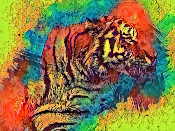 Tiger Art Illustration Drawing Painting Retro Vintage Animal — Fotografia de Stock