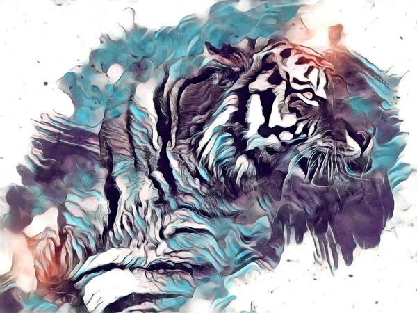 Tiger Arte Ilustración Dibujo Pintura Retro Vintage Animal — Foto de Stock