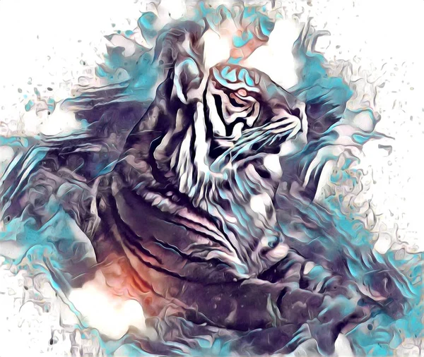 Tiger Art Illustration Drawing Painting Retro Vintage Animal — Foto de Stock