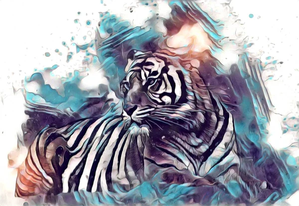 Tiger Art Illustration Drawing Painting Retro Vintage Animal — Stockfoto