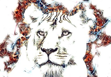 Aslan sanat çizimi retro-vintage hayvan resmi