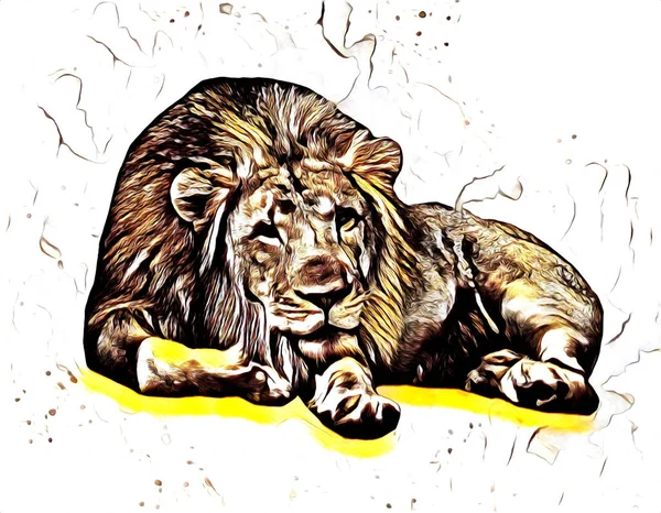 Lion Art Illustration Drawing Painting Retro Vintage Animal — Stock Photo, Image